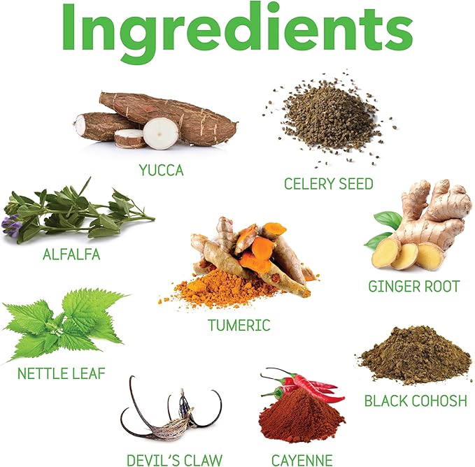 InClover Connectin Natural Hip & Joint Supplement for Dogs with Glucosamine, Chondroitin & Hyaluronic Acid - Powder for Dog Mobility, Comfort & Active Lifestyle Support, 23oz