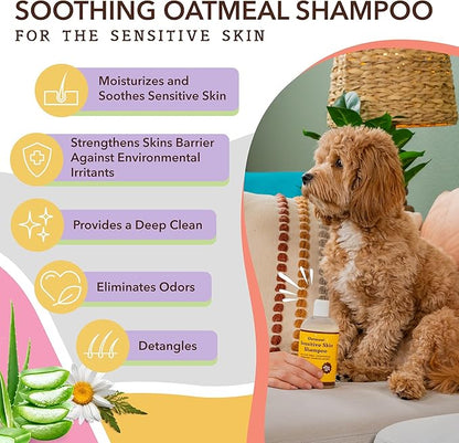 Natural Dog Company Oatmeal Shampoo for Dogs with Sensitive Skin, Ideal Anti Itch and Puppy Shampoo Oatmeal Itch Relief Dog Dandruff Shampoo, Aloe Itchy Skin Relief for Dogs 12 oz