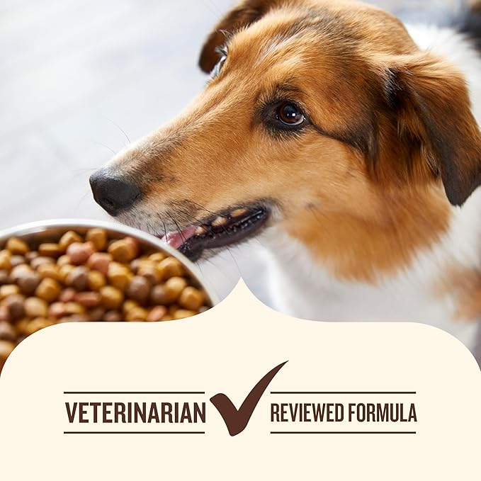 Nutrish Rachael Ray Weight Management Wet Dog Food Premium Paté Real Turkey & Pumpkin Recipe, 13 oz. Can, 12 Count