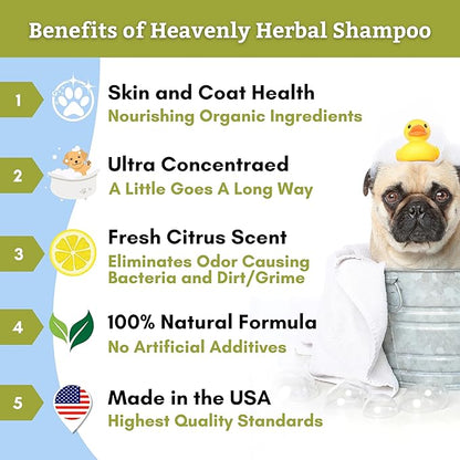 Wholistic Pet Organics Pet Shampoo Concentrate: Heavenly Herbal Organic Dog Shampoo and Conditioner - All Natural Puppy and Cat Shampoo for Dry, Itchy Skin, Allergies, Dandruff Shampoo