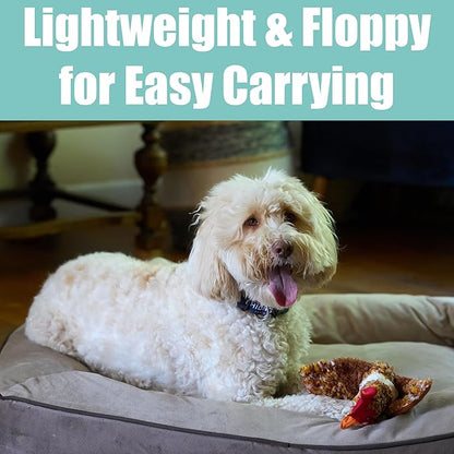 SPOT Skinneeez Chicken 17" Stuffing-Free Plush Dog Toy with Honking Squeaker – Soft, Floppy & Mess-Free Interactive Toy for Medium & Large Dogs – Ideal for Light & Moderate Chewers