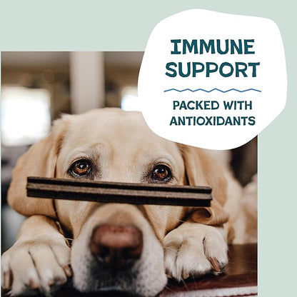 Shameless Pets Toothberry Dental Chews for Dogs – Natural Dog Dental Sticks for Fresh Breath, Teeth Cleaning & Removes Tartar, Grain-Free Dog Treats, No Corn or Soy