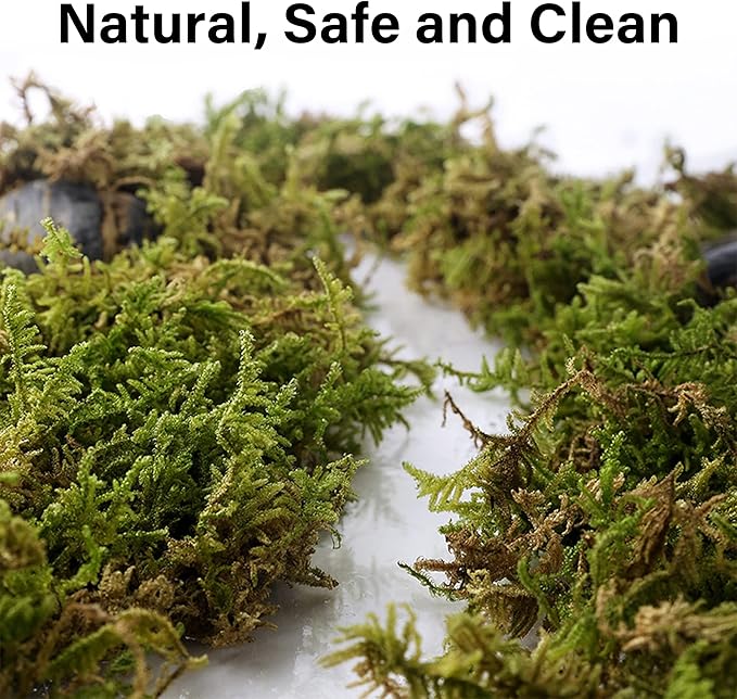 DR.DUDU 15L Forest Moss for Hamster Bedding Nesting, Syrian Gerbils Hamster Cages Accessories, Perfect for Small Animals Terrarium Moss