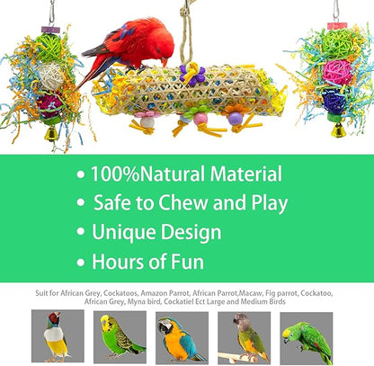 EBaokuup 3Pack Bird Chewing Toys Foraging Shredder Toy Parrot Cage Bird Loofah Hanging Toy for Cockatiel Conure African Grey Parrot