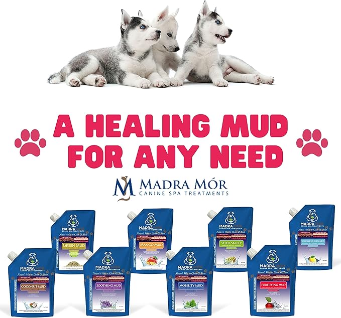 Worldwide Nutrition Bundle: Madra Mor Fortifying Mud - Dog Essentials Mud Bath, Dog Grooming, Dry Skin for Dogs Treatment, Dog Coat Skin Care Products - 10oz Pouch & Multi-Purpose Key Chain