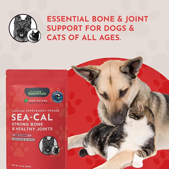 Animal Essentials Sea-Cal - Pure Seaweed Calcium Powder for Dogs with Magnesium, Joint Supplement for Dogs & Cats for Healthy Bones & Teeth, Joint Health, Icelandic Seaweed Calcium - 12 oz (Pack of 2)