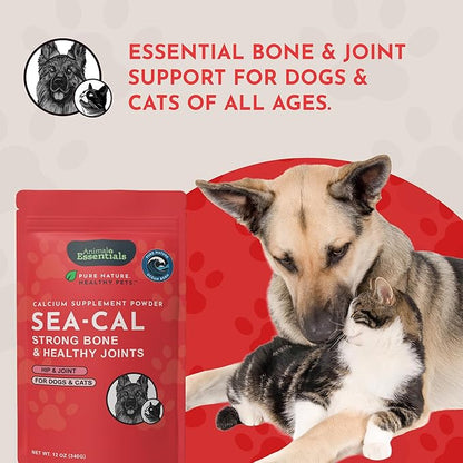 Animal Essentials Sea-Cal - Pure Seaweed Calcium Powder for Dogs with Magnesium, Joint Supplement for Dogs & Cats for Healthy Bones & Teeth, Joint Health, Icelandic Seaweed Calcium - 12 oz (Pack of 2)