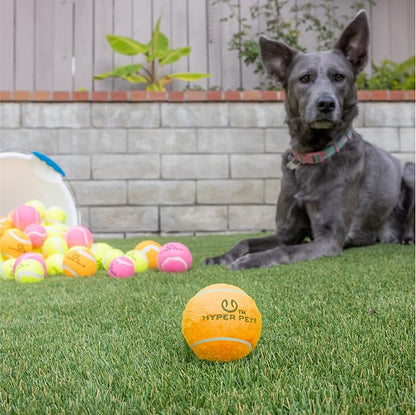 Hyper Pet MINI Tennis Balls for Dogs (Pet Safe Dog Toys & Dog Tennis Balls for Exercise, Training, Hyper Pet K9 Kannon Dog Ball Launcher) Bright Colored Interactive Dog Toy Dog Balls-Orange Pack of 4