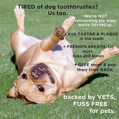 Dental Finger Wipes for Dogs and Cats, Hypoallergenic Teeth Cleaning Pet Wipes Designed to Freshen Breath, Remove Tartar & Plaque Buildup, Safe & Gentle Ingredients, 50 Count