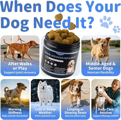 Senior Dog Joint Supplement, 17-in-1 Glucosamine for Dogs with Chondroitin, MSM, Pea, CoQ10, Omega-3, Hip and Joint Chews for Dogs – Chicken Flavor – 90 Soft Chews – for All Breeds & Sizes