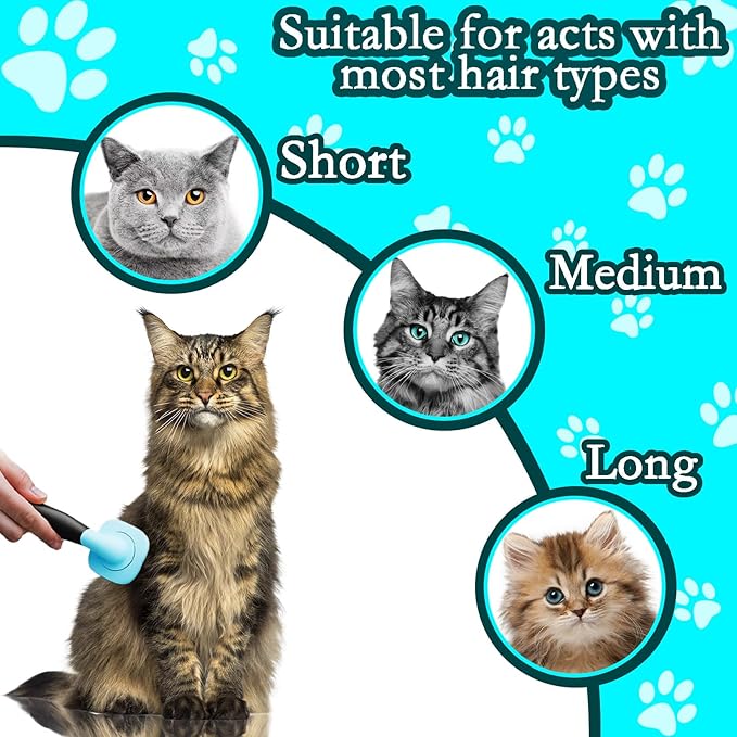 Dog Brush and Cat Brush, Pet Grooming Brush Gently Cleans Pin Brush for Hair Removal Cat and Dog Hair Brush for Small Dogs Yorkshire Terrier Pomeranian Poodle and Cat