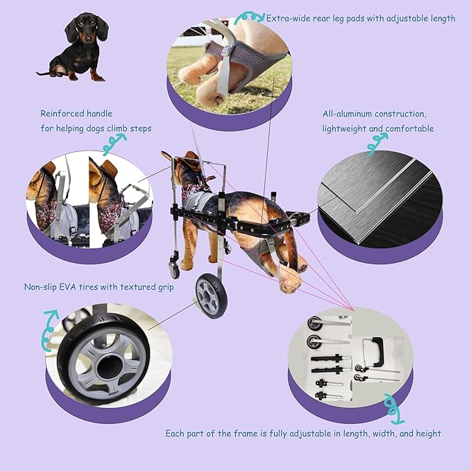 Dog Wheelchair,Lightweight Aluminum Frame with Handle,Extended Leg Straps,Includes Leash,Fits Pugs,French Bulldogs,and Schnauzersï¼_iddle Sizeï¼/Beagle,Corgi,and Cocker Spanielï¼_arge Sizeï¼