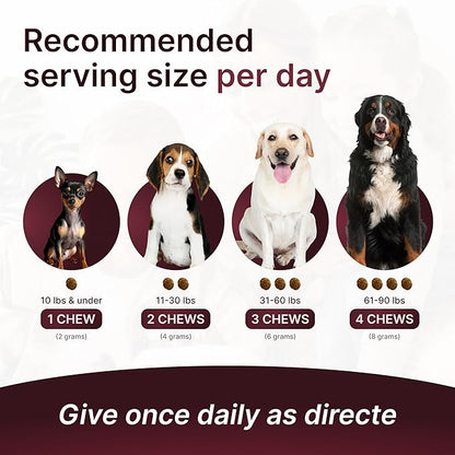 Hip & Joint Supplement for Dogs – Mobility Support with Glucosamine, Chondroitin, MSM, Turmeric, Mussel, Hemp Dog Joint Pain Relief – 120 Soft Chews for Large, Medium, Small Dogs Breeds– Beef Flavor