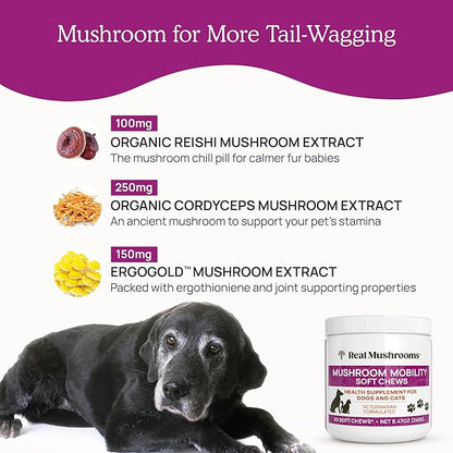 Real Mushrooms Mobility Chews for Dogs & Cats – Green Lipped Mussel & ErgoGold Mushroom Blend – Dogs & Cat Vitamins Treats for Active Routines – Joint, Hip & Flexibility Support – 240 ct Supplement