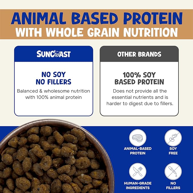 Wholesome Balance Sugar Glider Food - Chicken & Rice | 12 Ounces of Premium Dense Food for Sugar Gliders and Small Animals - 1 Months Supply