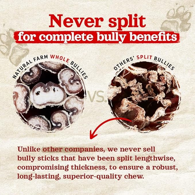Natural Farm Odor-Free Thick Bully Sticks (12, 10-Pack) All-Natural Long-Lasting Dog Chews, 100% Beef Pizzle, Grass-Fed, Grain-Free, Protein for Muscle Development & Energy, Perfect for Large Dogs