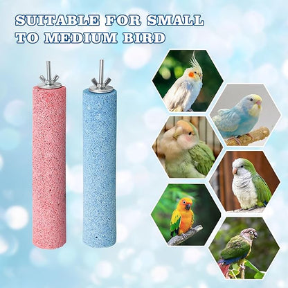 Dual-Textured Bird Perch, 2-Pack – Chewable Mineral Stone & Metal Rod Stand for Small/Medium Birds | Cage Mounted Perches for Beak Grinding, Claw Trimming (Blue & Pink)