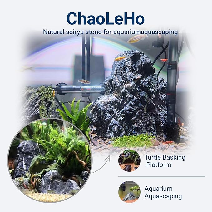 Dragon Stone Aquarium Rock Seiryu Stone for Aquariums, Fish Tanks, Bonsai, Terrariums, Wargaming Dioramas, Indoor or Outdoor Gardens-40Lb(2-10 Inch)