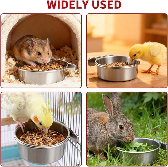 TBWHL Parrot Feeding Cups Hanging Pet Animal Stainless Steel Birdcage Bowls Bird Bowls for Cage Parakeet Birds Cage Accessories Suitable Small and Medium Bird S (2pcs)