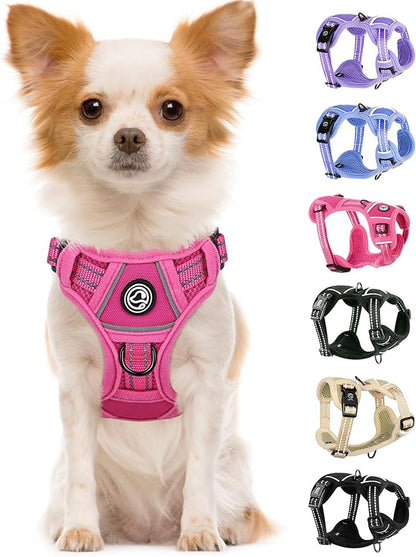 Dog Harness Small Sized Dog, No Pull Pet Harness with 2 Leash Clips, Adjustable Soft Padded Dog Vest Harnesses, Reflective No-Choke Pet Oxford Vest