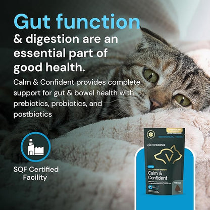 VETRISCIENCE Max Veterinary Strength Calm & Confident Chews - Stress Supplement for Pets - Supports Brain Function for Cats & Dogs - with Lemon Balm Extract, L-Theanine, Thiamine & More - 45 Count