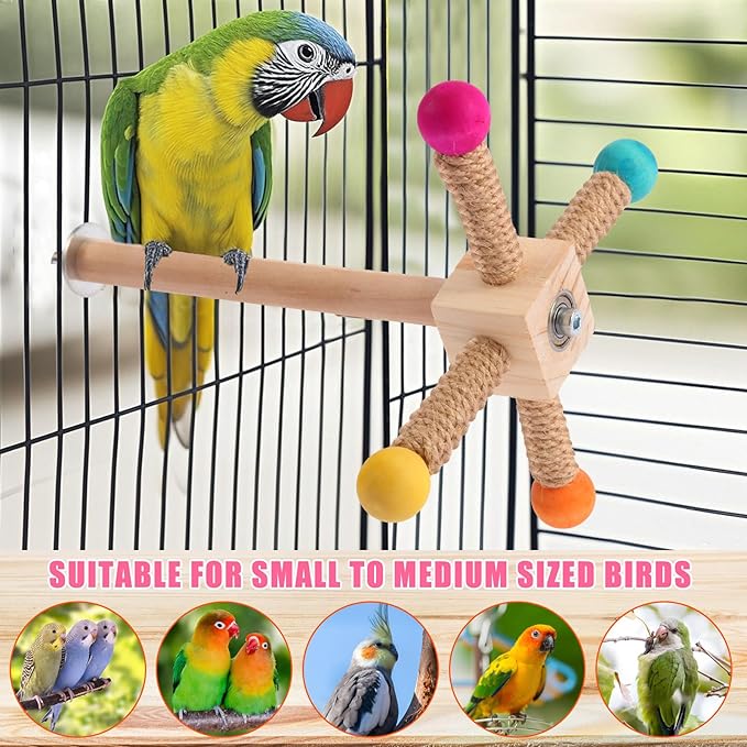 Kyouki Bird Perch Toy - Suitable for Small & Medium Parrots: Conures, Cockatiels, Lovebirds, Parakeets, Quakers, Caiques, Pionus | 360° Spinning Stand (Primary Colors, Medium Size)