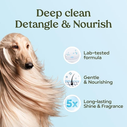 PAWFUME Dog Shampoo and Conditioner, Blue Ribbon, 4-Pack  Nourish & Detangle for a Silky Soft Coat  Probiotic, Deep-Cleaning, pH-Balanced Formula  Puppy Shampoo and Conditioner for All Breeds