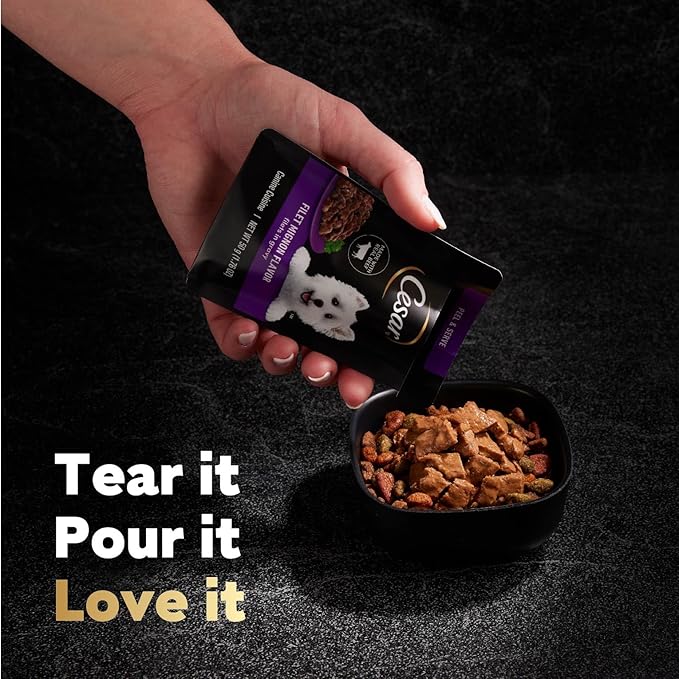 Cesar Wet Dog Food 40 Count Multipack