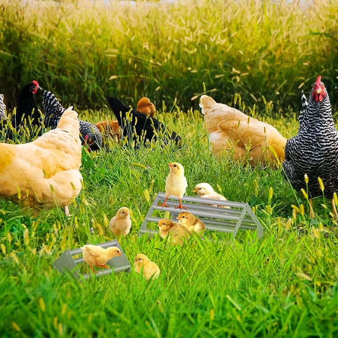 2 Pack Chick Perch Chick Toys for Brooder Chicken Perch for Coop Strong Chick Jungle Gym Roosting Bar Stand for Chicken, Chick, Bird, Easy to Assemble and Clean, Indoor/Outdoor Use, Large and Small