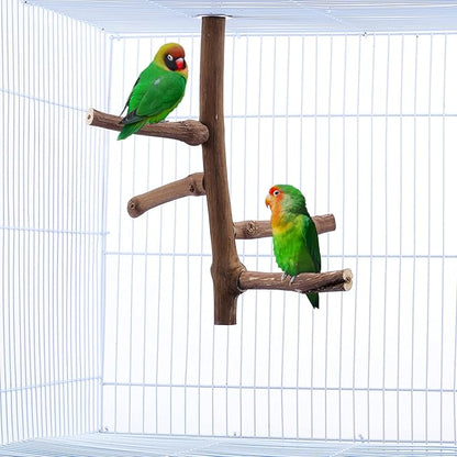 CozyCabin Natural Bird Perch Stand, Hanging Multi Branch Grapevine Parrot Perch Bird Cage Toys for Small Budgies Conure Parrot Parakeets Cockatiels Lovebirds (Branch)