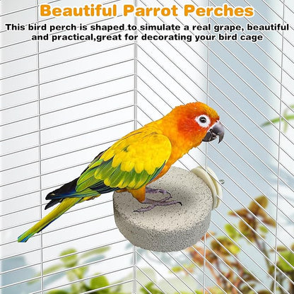 PINVNBY 4 PCS Bird Perches Calcium Parrot Perch Stand Bird Beak Grinding Stone Foot Claws Trimmer Parrot Chewing Toys Bird Cage Accessories for Budgie Cockatiel Conure Lovebird Finch