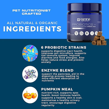 Probiotics for Dogs | Soft Chews with Digestive Enzymes, Pumpkin & Prebiotics | Supports Gut Health, Immunity, Stool Quality & Nutrient Absorption | Peanut Flavor, 90 Count