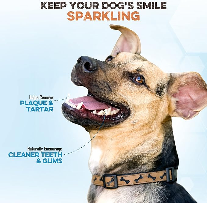 Gullet Sticks for Dogs, All Natural Single Ingredient Beef Jerky Chews, Healthy Beef Gullet Sticks, Naturally Occurring Glucosamine & Chondroitin, Can Help Joint Function for Puppies or Senior Dogs