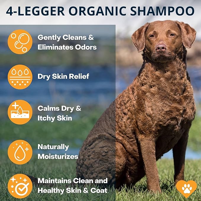 4 Legger Certified Organic to Food Standards Revitalize Neem with Sweet Orange Essential Oil Pet Shampoo 16 oz