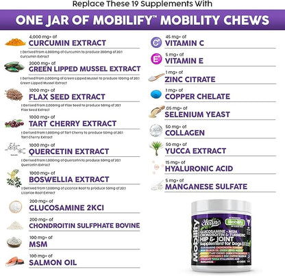 Hip and Joint Supplement Dogs with Glucosamine for Dogs + Chondroitin, Turmeric, Hyaluronic Acid, MSM, Salmon Oil, Collagen, Vitamin C, Omega 3 Senior Dog Supplements Beef Flavor - 1Pack