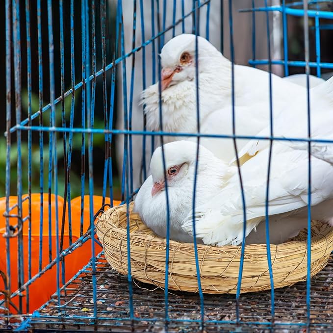 6 Packs Woven Straw Bird Nests, 8" Handmade Flat Base Spawning Nest, Small Animal Breeding Bed Hatch House Cage Accessories for Dove Pigeon Parrot Cuckoo Sparrow Rabbits Chinchillas Hamster