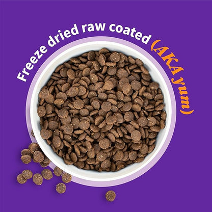 Halo Elevate Dry Dog Food, Healthy Grains Salmon Recipe, 20lb