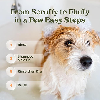 PAWFUME Deshedding Dog Shampoo and Conditioner, Show Dog, 1-Pack  Nourish & Detangle for Silky Soft Coat  Probiotic, Deep-Cleaning, pH-Balanced Formula  Salon-Quality Shampoo for Dogs