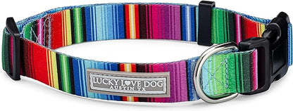 Lucky Love Dog Collars, Rainbow Striped Dog Collar for Medium Dogs, Vivid Pattern Girl or Boy Dog Collars, Nacho, Medium