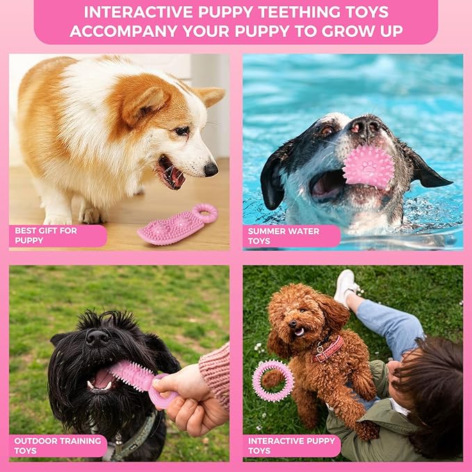 Puppy Toys, 9 Pack Puppy Chew Toys for Teething, Cute Pink Small Dog Toys, Puppy Teething Toys for Puppies, Soft Durable Interactive Dog Chew Toys for Puppy to Small Dogs