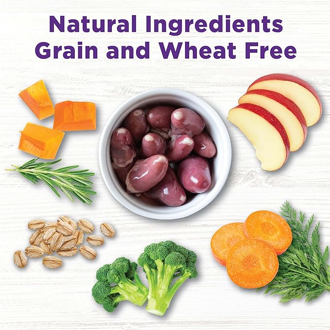 Wellness CORE Bowl Boosters Digestive Health Dog Food Topper, 4 Ounce Bag (Pack of 2)