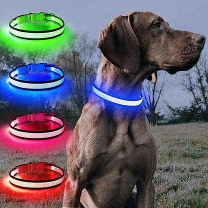 BSEEN Light Up Dog Collars - Reflective LED Dog Collar, Rechargeable Puppy Collar for Small Dogs, Glow in The Dark Dog Camping Gear, Flashing Dog Lights for Night Walking (Small, Blue)