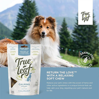 True Leaf Pet True Leaf Hemp Calming Chews 200g