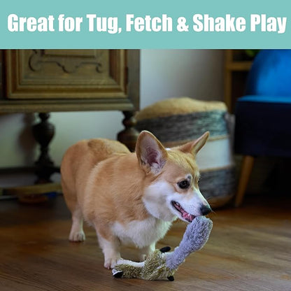 SPOT Skinneeez Raccoon 14 Inch Stuffing-Free Plush Dog Toy – Soft, Mess-Free Toy with One Squeaker for Small & Medium Dogs, Best for Light to Moderate Chewers