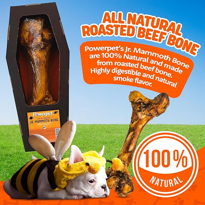 Powerpet Jr. Mammoth Bone - Halloween Dog Treats, Natural Beef Dog Chew Bones, Digestible Dog Bones w/High Calcium, for Dental Health, Large Breeds & Aggressive Chewers - Odorless, Smoked Flavor 1pc