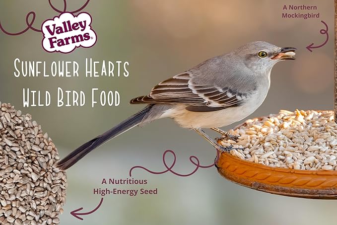 Valley Farms Whole Sunflower Hearts for Birds 4 LB 2-Pack (8 LB Total), Sunflower Kernels Wild Bird Food, No Mess Wild Bird Seed for Outside Feeders, Sunflower Hearts Birdseed