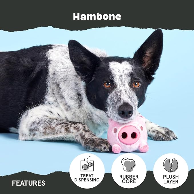 Barkbox Hambone Super Chewer Tough Dog Chew Toy for Aggressive Chewers, Plush Cover with Rubber Core - 2 Toys in 1  Two Layer Treat Dispensing Dog Toy for Large Dogs
