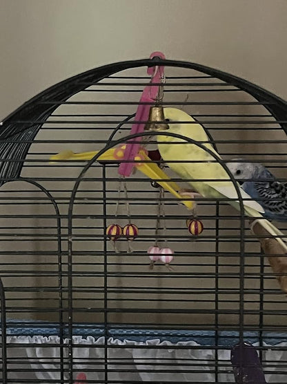 2 Bird Cage Hanging Mirrored Small Swing Perch Toys Parakeet Budgie Canary Standing Toy Glass Mirror, Plastic Perch