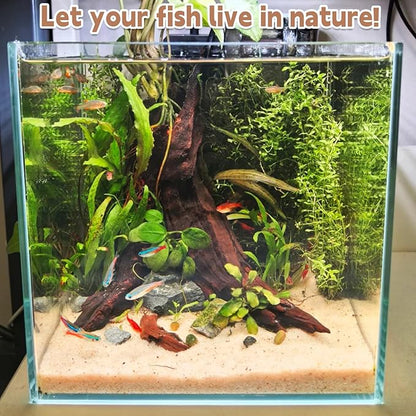 PINVNBY Natural Driftwood for Aquarium Decor Fish Tank Decorations Reptile Decor Driftwood Decor, 3 Pieces 7"-11" Assorted Driftwood Branch