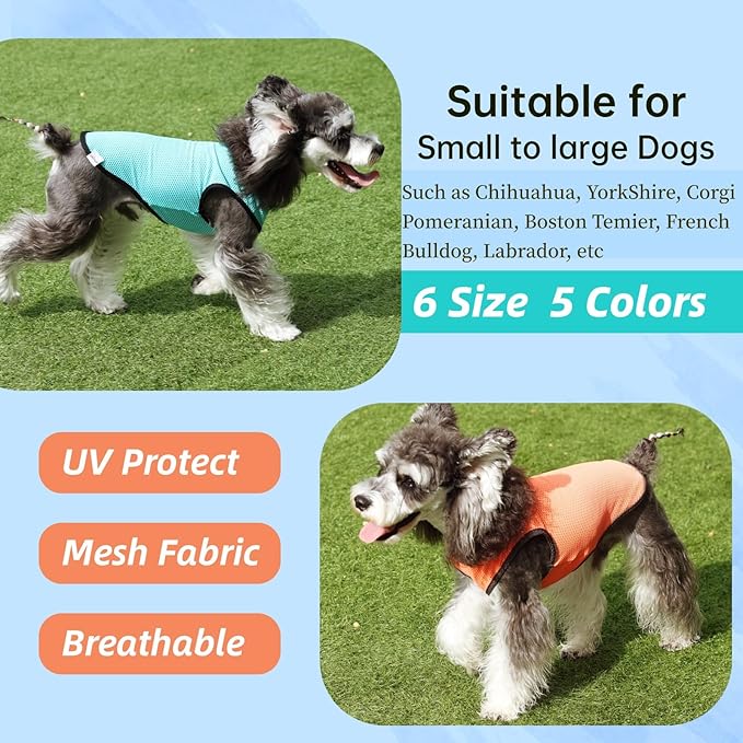 2 Pack Cooling Shirts for Dogs, Lightweight Mesh Breathable Dog Clothes for Large Dogs Boy Girl,Sports Fan Pet T-Shirts for Dog&Cat Puppy Vest Pet Apparel - XXL